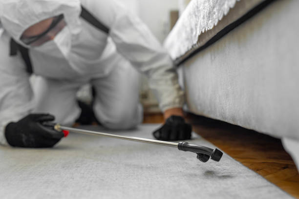 Professional Bed Bug Control technician working in Norwalk, OH